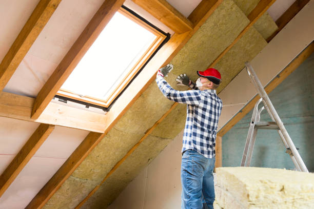 Best Attic Insulation Installation in Arden Hills, MN